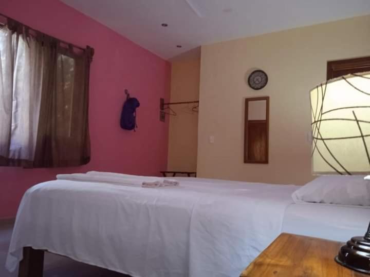 Ecohotel Shalom Valladolid  Extérieur photo